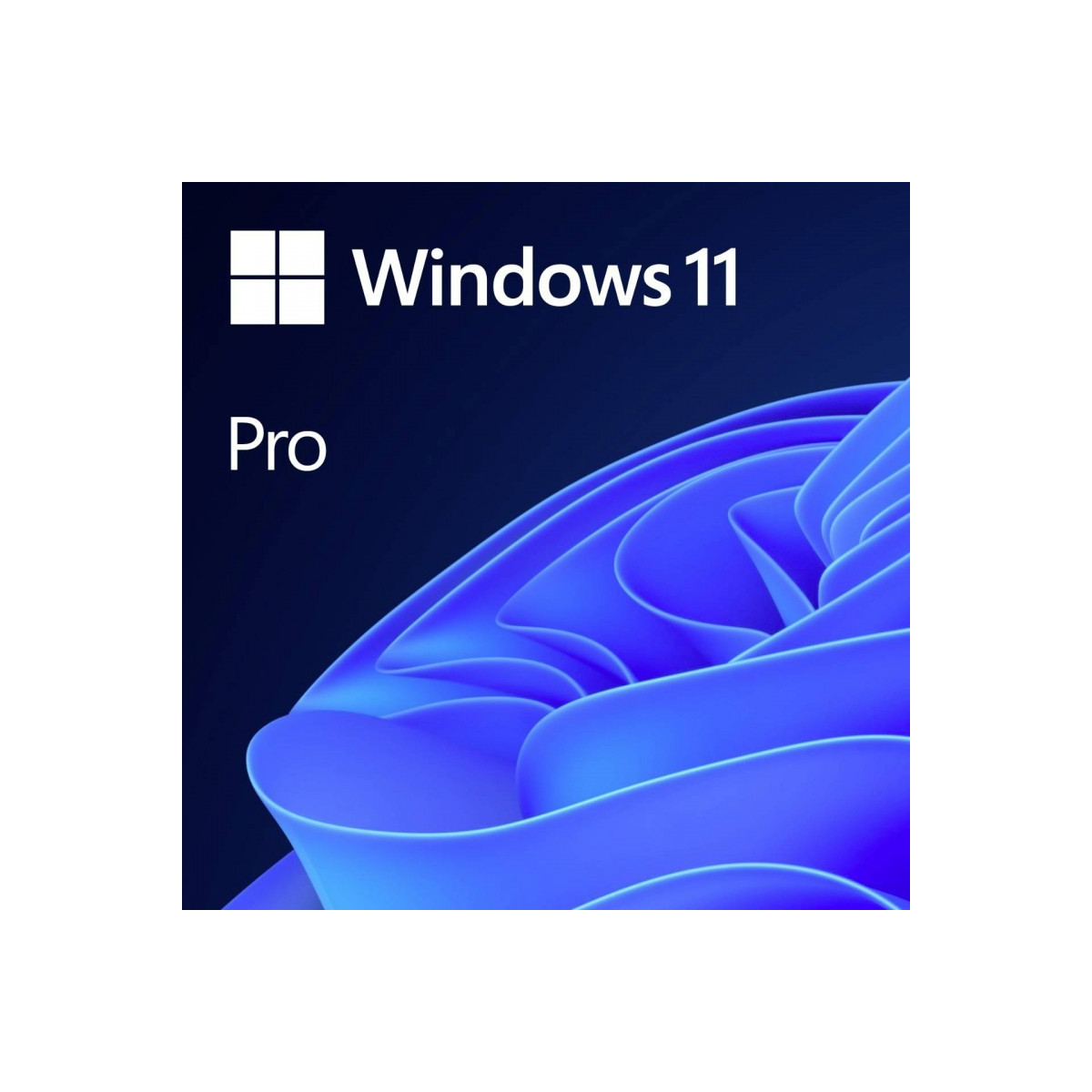 MICROSOFT WINDOWS 11 PROFESSIONNEL 64 BITS (FRANÇAIS) – OEM