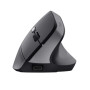 Souris sans fil Trust Bayo II ergonomique - Noir