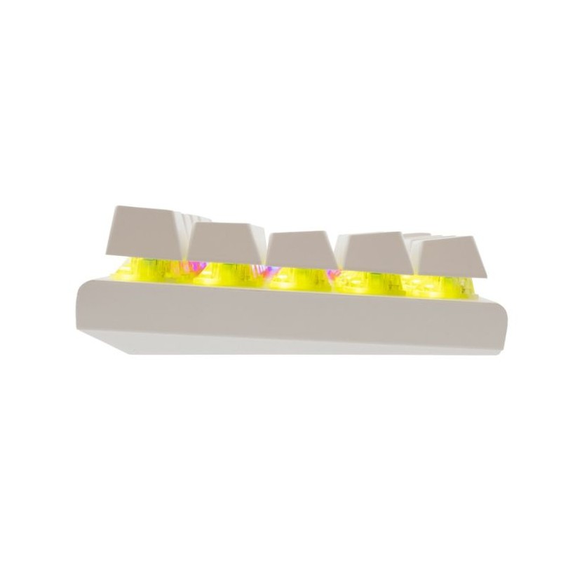 Clavier Gamer Filaire WHITE SHARK WAKIZASHI 2 US Blanc - Interrupteurs bleus