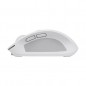 Souris Sans Fil TRUST Ozaa Multi-Appareils - Blanc