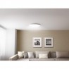 Plafonnier Xiaomi Mi Smart LED Ceiling Light