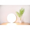 Plafonnier Xiaomi Mi Smart LED Ceiling Light