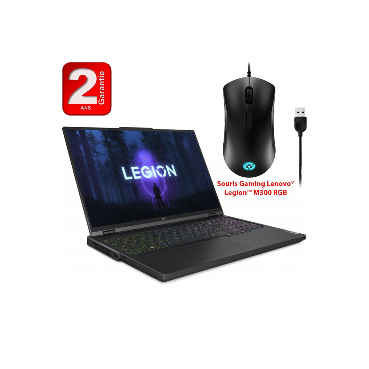 Pc Portable Lenovo Legion Pro 5 16IRX8 i7 13Gén 16Go 1 To SSD Gris (82WK00B9FG)