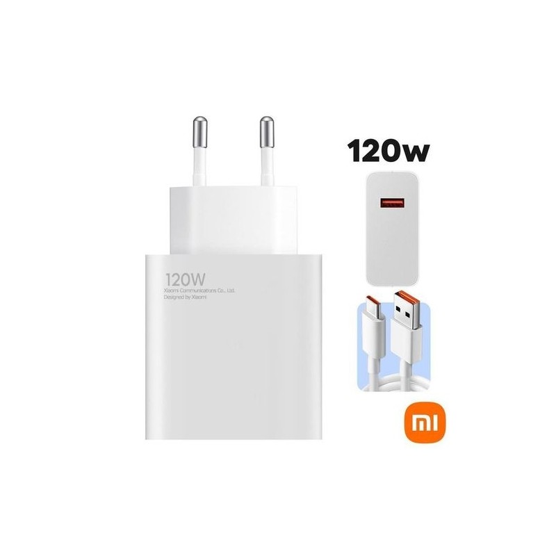 CHARGEUR 120W TZ-80