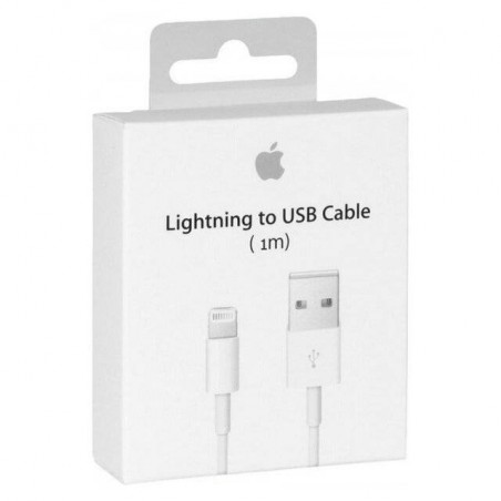Câble Lightning vers USB (1 m)