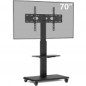 Support Tv Gembird en acier robuste au sol avec roulettes
