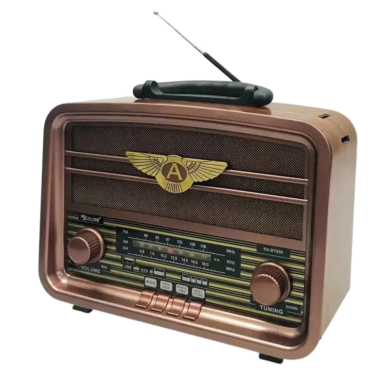 Haut Parleur Portable Radio FM Golon RX-BT939 / Marron