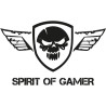 Spirit of Gamer